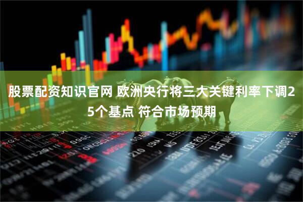 股票配资知识官网 欧洲央行将三大关键利率下调25个基点 符合市场预期