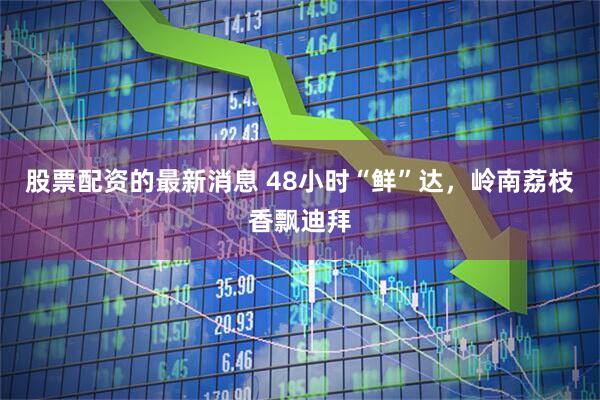 股票配资的最新消息 48小时“鲜”达，岭南荔枝香飘迪拜