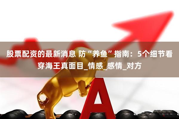 股票配资的最新消息 防“养鱼”指南：5个细节看穿海王真面目_情感_感情_对方