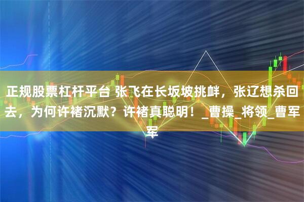 正规股票杠杆平台 张飞在长坂坡挑衅，张辽想杀回去，为何许褚沉默？许褚真聪明！_曹操_将领_曹军