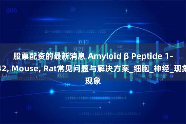 股票配资的最新消息 Amyloid β Peptide 1-42, Mouse, Rat常见问题与解决方案_细胞_神经_现象