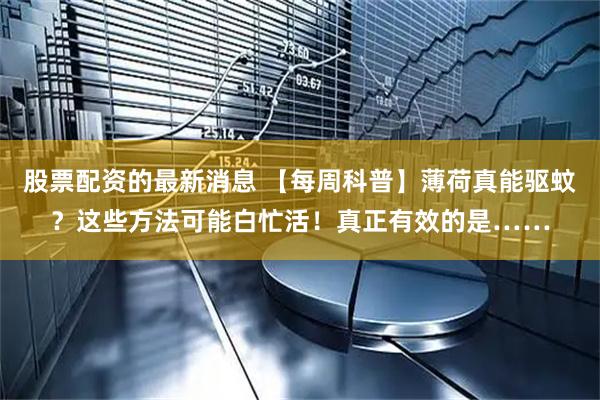 股票配资的最新消息 【每周科普】薄荷真能驱蚊？这些方法可能白忙活！真正有效的是……