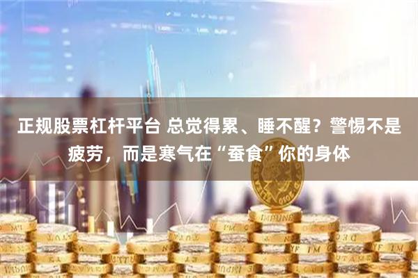 正规股票杠杆平台 总觉得累、睡不醒？警惕不是疲劳，而是寒气在“蚕食”你的身体